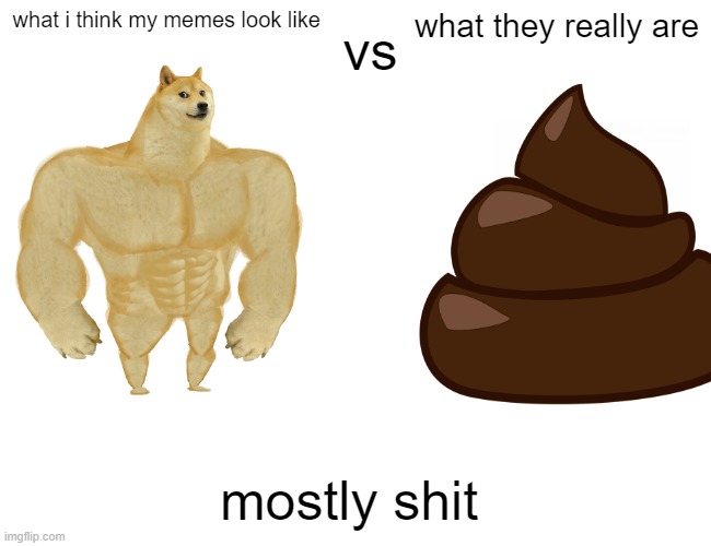 why can't I make a good meme | vs; what i think my memes look like; what they really are; mostly shit | image tagged in the truth | made w/ Imgflip meme maker