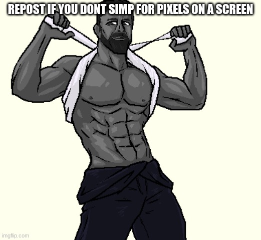 i for sure dont | REPOST IF YOU DONT SIMP FOR PIXELS ON A SCREEN | made w/ Imgflip meme maker