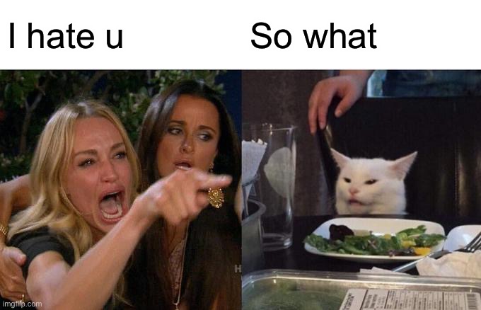 Bruh | I hate u; So what | image tagged in memes,woman yelling at cat | made w/ Imgflip meme maker
