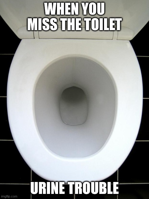 TOILET | WHEN YOU MISS THE TOILET; URINE TROUBLE | image tagged in toilet | made w/ Imgflip meme maker