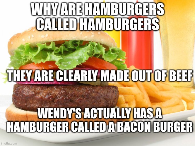 Hamburger  | WHY ARE HAMBURGERS CALLED HAMBURGERS; THEY ARE CLEARLY MADE OUT OF BEEF; WENDY'S ACTUALLY HAS A HAMBURGER CALLED A BACON BURGER | image tagged in hamburger | made w/ Imgflip meme maker