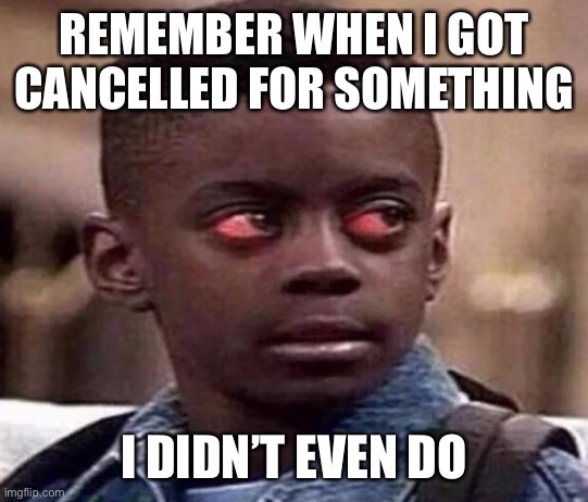 High | REMEMBER WHEN I GOT CANCELLED FOR SOMETHING; I DIDN’T EVEN DO | image tagged in high kid | made w/ Imgflip meme maker