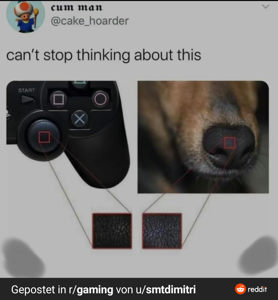 High Quality They kill dogs to make Playstations Blank Meme Template