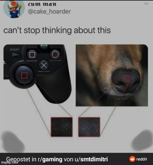 They kill dogs to make Playstations | image tagged in they kill dogs to make playstations | made w/ Imgflip meme maker