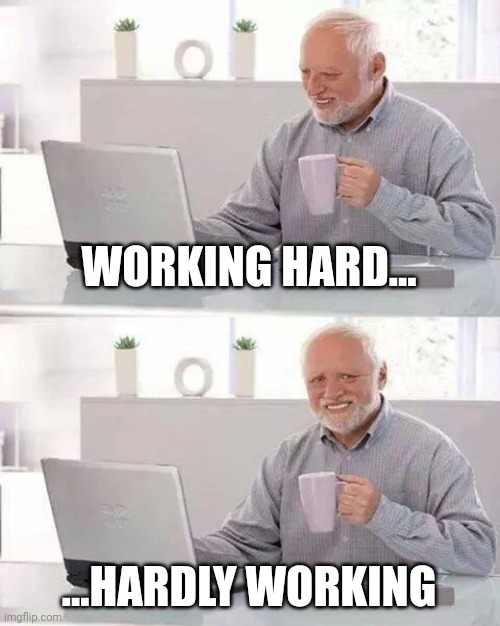 Hardly working | WORKING HARD... ...HARDLY WORKING | image tagged in memes,hide the pain harold | made w/ Imgflip meme maker