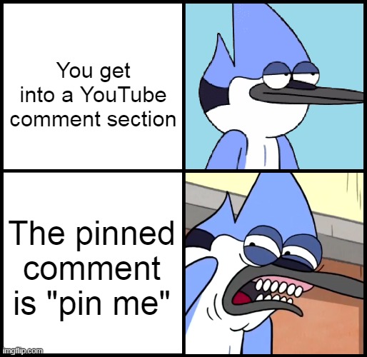 Mordecai disgusted | You get into a YouTube comment section; The pinned comment is "pin me" | image tagged in mordecai disgusted | made w/ Imgflip meme maker