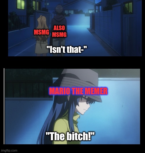 Isn't that- | ALSO MSMG; MSMG; MARIO THE MEMER | image tagged in isn't that- | made w/ Imgflip meme maker