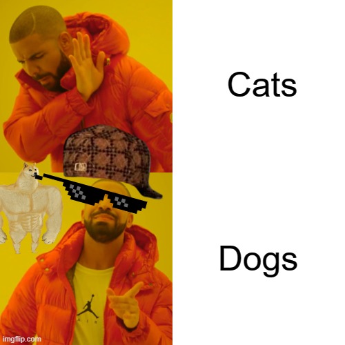 Drake Hotline Bling Meme | Cats; Dogs | image tagged in memes,drake hotline bling | made w/ Imgflip meme maker