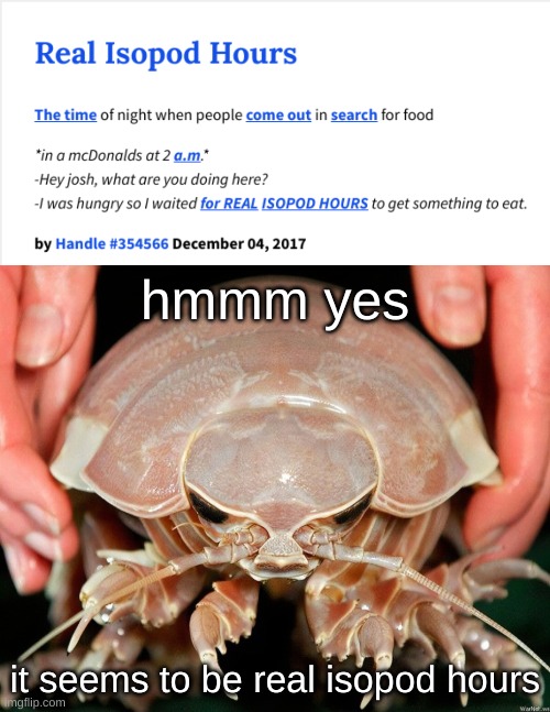 real isopod hours... a majestic time. | hmmm yes; it seems to be real isopod hours | image tagged in isopod,real isopod hours | made w/ Imgflip meme maker