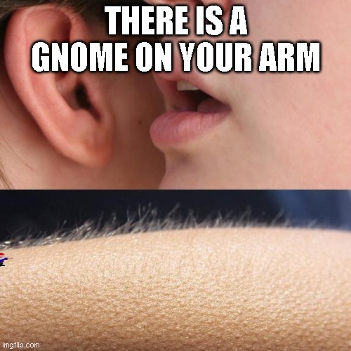 Just a normal hairy arm | THERE IS A GNOME ON YOUR ARM | image tagged in whisper and goosebumps,gottem,fun,memes,funny | made w/ Imgflip meme maker