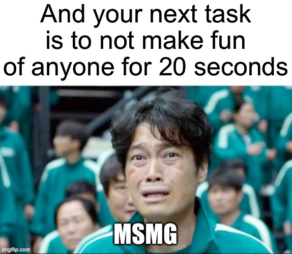 impossible challenge | And your next task is to not make fun of anyone for 20 seconds; MSMG | image tagged in your next task is to- | made w/ Imgflip meme maker