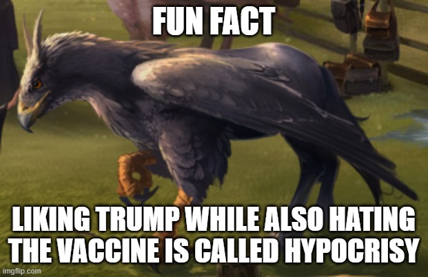 Hippogriff | FUN FACT; LIKING TRUMP WHILE ALSO HATING THE VACCINE IS CALLED HYPOCRISY | image tagged in hippogriff | made w/ Imgflip meme maker