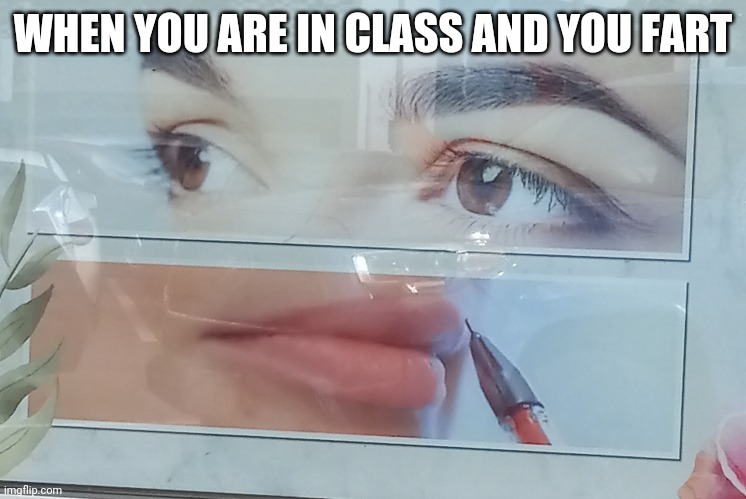 So true | WHEN YOU ARE IN CLASS AND YOU FART | image tagged in farts,this is not okie dokie | made w/ Imgflip meme maker