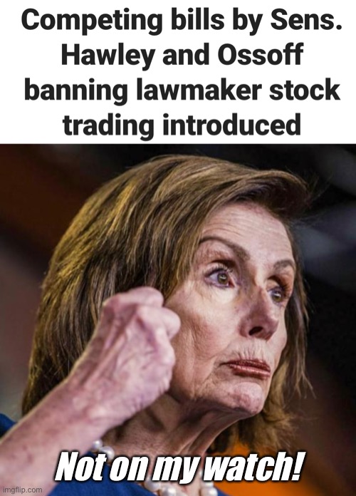Will never pass. Congress is too greedy | Not on my watch! | image tagged in nancy pelosi,memes,politics lol,government corruption | made w/ Imgflip meme maker
