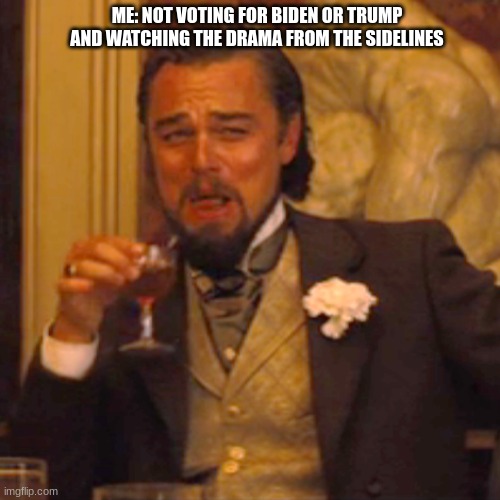 Laughing Leo Meme | ME: NOT VOTING FOR BIDEN OR TRUMP AND WATCHING THE DRAMA FROM THE SIDELINES | image tagged in memes,laughing leo | made w/ Imgflip meme maker