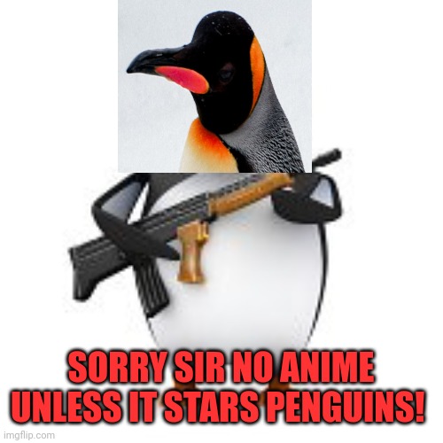 no anime penguin | SORRY SIR NO ANIME UNLESS IT STARS PENGUINS! | image tagged in no anime penguin,no anime allowed | made w/ Imgflip meme maker