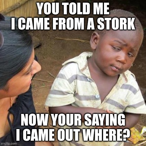 what is birth really | YOU TOLD ME I CAME FROM A STORK; NOW YOUR SAYING I CAME OUT WHERE? | image tagged in memes,third world skeptical kid | made w/ Imgflip meme maker