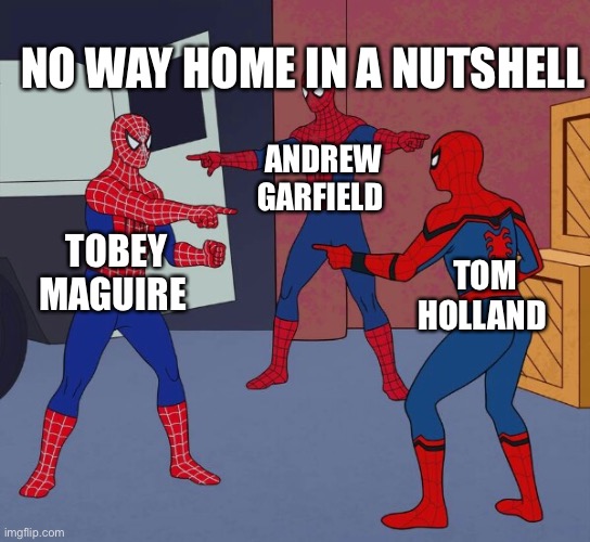 Spider Man Triple | NO WAY HOME IN A NUTSHELL; ANDREW GARFIELD; TOBEY MAGUIRE; TOM HOLLAND | image tagged in spider man triple | made w/ Imgflip meme maker