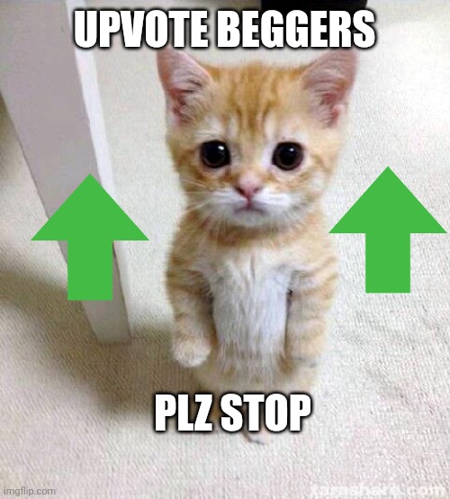 Cute Cat | UPVOTE BEGGERS; PLZ STOP | image tagged in memes,cute cat | made w/ Imgflip meme maker