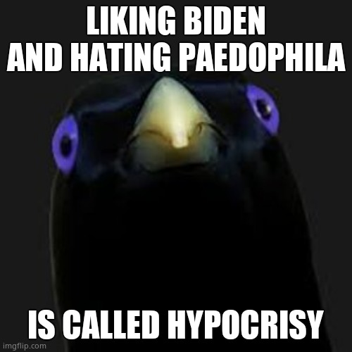 u want sum fuk | LIKING BIDEN AND HATING PAEDOPHILA IS CALLED HYPOCRISY | image tagged in u want sum fuk | made w/ Imgflip meme maker