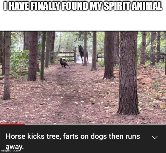 I HAVE FINALLY FOUND MY SPIRIT ANIMAL | made w/ Imgflip meme maker