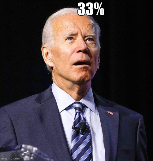 Remember when the scurvy libs seemed to REALLY care about this stuff from 2016 - 2020? Peperidge... | 33% | image tagged in joe biden,33 | made w/ Imgflip meme maker