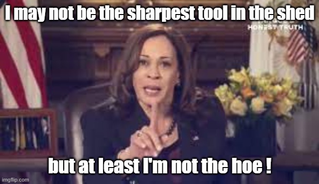 Kamala | I may not be the sharpest tool in the shed; but at least I'm not the hoe ! | made w/ Imgflip meme maker
