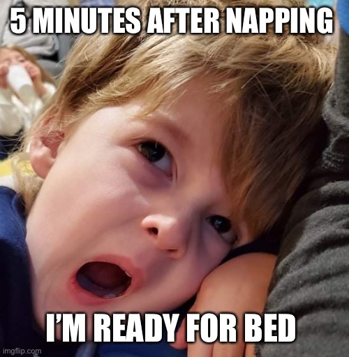 Best of maddox | 5 MINUTES AFTER NAPPING; I’M READY FOR BED | image tagged in best of maddox | made w/ Imgflip meme maker