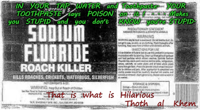 PEOPLE ARE DUMBED DOWN | IN  YOUR  TAP  WATER  and Toothpaste.  YOUR  TOOTHPASTE  says  POISON  on  it !  . . . Makes  you  STUPID  and  you  don't   KNOW  you're STUPID. That  is  what  is  Hilarious

                                       Thoth   al   Khem | image tagged in fluoride,biden,joe and the hoe,stupid,dumb | made w/ Imgflip meme maker