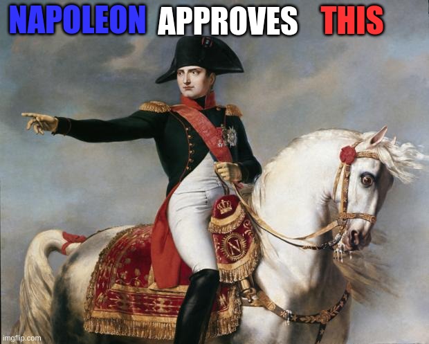 Napoleon Bonaparte | NAPOLEON APPROVES THIS | image tagged in napoleon bonaparte | made w/ Imgflip meme maker