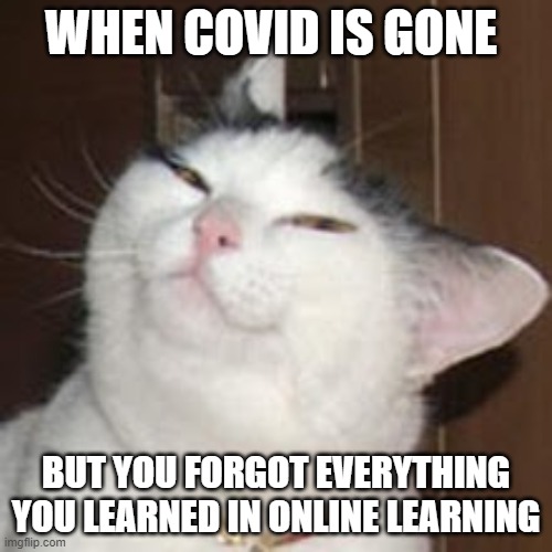 smug cat | WHEN COVID IS GONE; BUT YOU FORGOT EVERYTHING YOU LEARNED IN ONLINE LEARNING | image tagged in smug cat | made w/ Imgflip meme maker