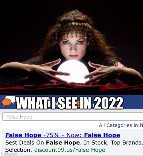WHAT I SEE IN 2022 | image tagged in fortune teller,2022 | made w/ Imgflip meme maker