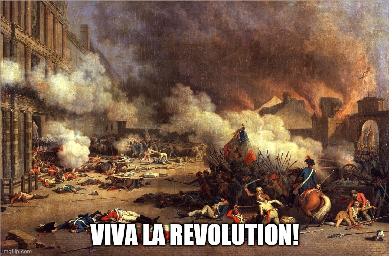 French Revolution | VIVA LA REVOLUTION! | image tagged in french revolution | made w/ Imgflip meme maker