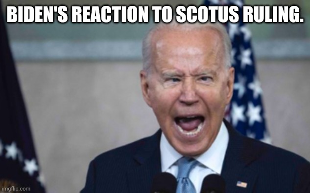 Arrr | BIDEN'S REACTION TO SCOTUS RULING. | image tagged in biden scream | made w/ Imgflip meme maker