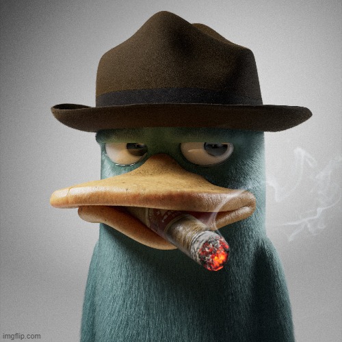 no context | image tagged in perry the platypus,platypus,no context | made w/ Imgflip meme maker