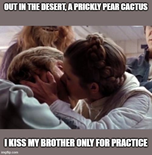 Luke and Leia Kiss | OUT IN THE DESERT, A PRICKLY PEAR CACTUS; I KISS MY BROTHER ONLY FOR PRACTICE | image tagged in luke and leia kiss | made w/ Imgflip meme maker