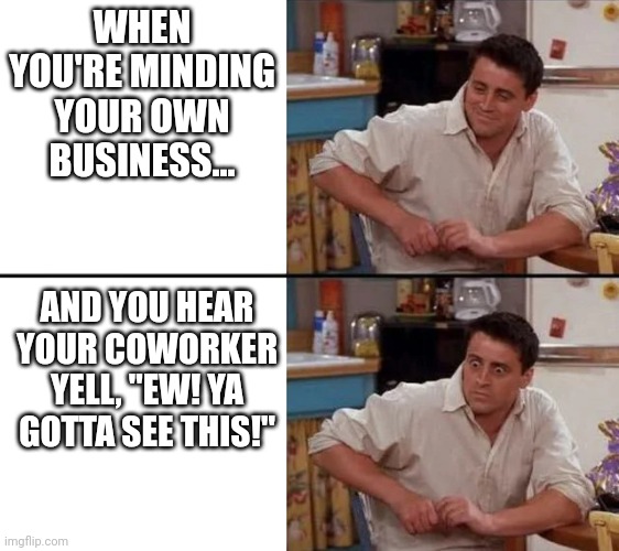 Yuck | WHEN YOU'RE MINDING YOUR OWN BUSINESS... AND YOU HEAR YOUR COWORKER YELL, "EW! YA GOTTA SEE THIS!" | image tagged in surprised joey | made w/ Imgflip meme maker