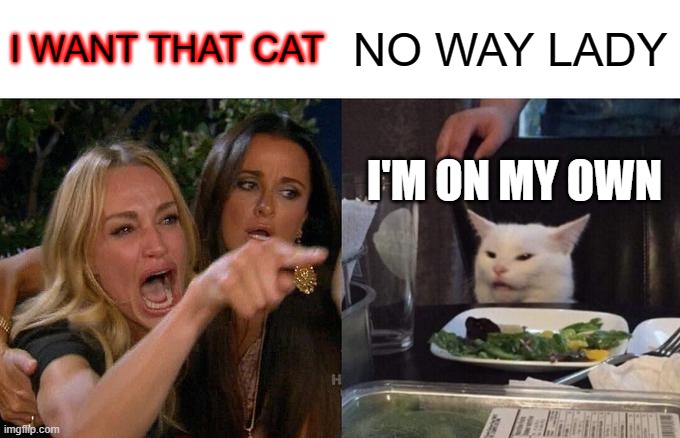 Woman Yelling At Cat Meme | I WANT THAT CAT; NO WAY LADY; I'M ON MY OWN | image tagged in memes,woman yelling at cat | made w/ Imgflip meme maker