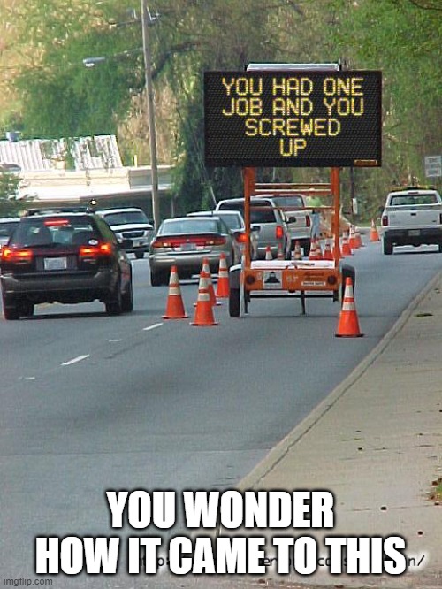You had one job and you screwed up | YOU WONDER HOW IT CAME TO THIS | image tagged in you had one job and you screwed up | made w/ Imgflip meme maker