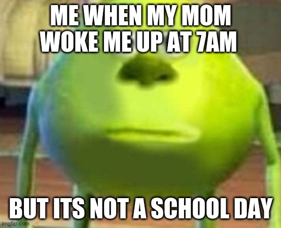 funny | ME WHEN MY MOM WOKE ME UP AT 7AM; BUT ITS NOT A SCHOOL DAY | image tagged in gaywasowski | made w/ Imgflip meme maker