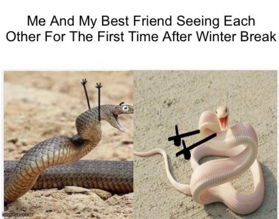 ✨Friends✨ | image tagged in funny memes | made w/ Imgflip meme maker