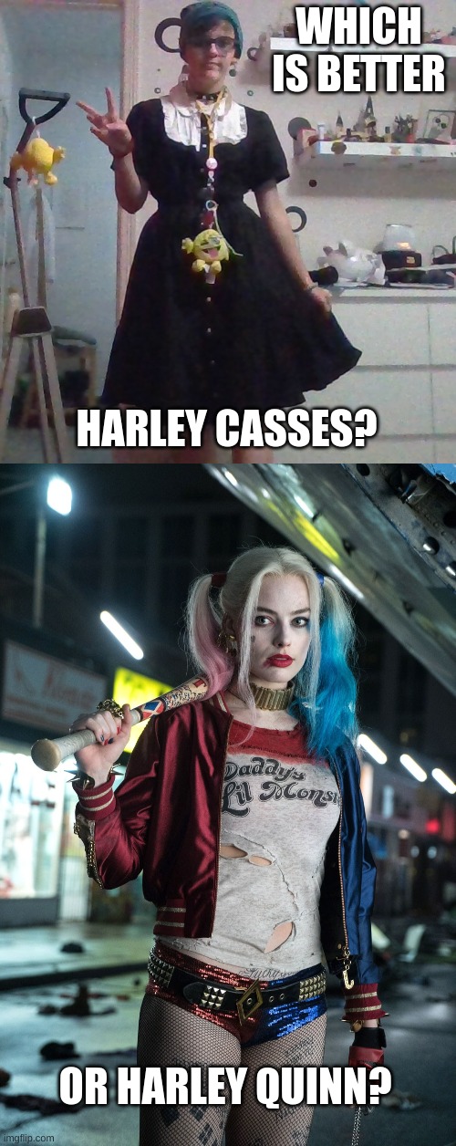 my votes on harley quinn | WHICH IS BETTER; HARLEY CASSES? OR HARLEY QUINN? | image tagged in harley quinn | made w/ Imgflip meme maker