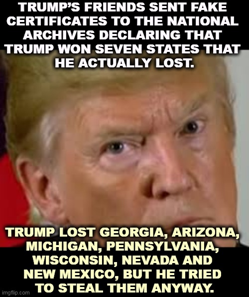 Trump's planning on stealing 2022 and 2024. We can watch all his stooges getting ready to prevent Democrats from voting. | TRUMP’S FRIENDS SENT FAKE 
CERTIFICATES TO THE NATIONAL 
ARCHIVES DECLARING THAT 
TRUMP WON SEVEN STATES THAT 
HE ACTUALLY LOST. TRUMP LOST GEORGIA, ARIZONA, 
MICHIGAN, PENNSYLVANIA, 
WISCONSIN, NEVADA AND 
NEW MEXICO, BUT HE TRIED 
TO STEAL THEM ANYWAY. | image tagged in trump eyes dilated,trump,steal,2020 elections,2022,2024 | made w/ Imgflip meme maker