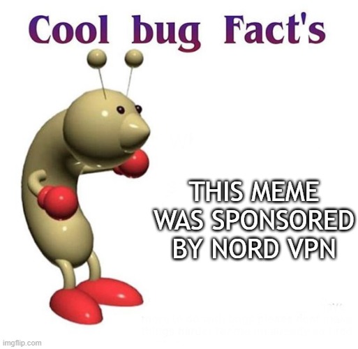 Cool Bug Facts | THIS MEME WAS SPONSORED BY NORD VPN | image tagged in cool bug facts | made w/ Imgflip meme maker