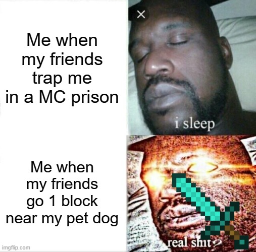 Sleeping Shaq | Me when my friends trap me in a MC prison; Me when my friends go 1 block near my pet dog | image tagged in memes,sleeping shaq | made w/ Imgflip meme maker