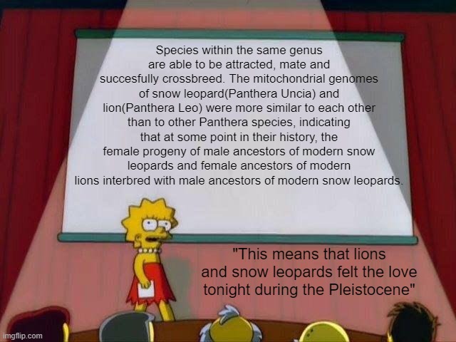 Interesting scientific fact: | Species within the same genus are able to be attracted, mate and succesfully crossbreed. The mitochondrial genomes of snow leopard(Panthera Uncia) and lion(Panthera Leo) were more similar to each other than to other Panthera species, indicating that at some point in their history, the female progeny of male ancestors of modern snow leopards and female ancestors of modern lions interbred with male ancestors of modern snow leopards. "This means that lions and snow leopards felt the love tonight during the Pleistocene" | image tagged in lisa simpson's presentation,biology | made w/ Imgflip meme maker