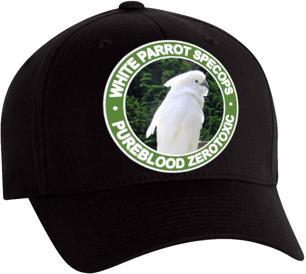 High Quality White Parrot Black Hat Blank Meme Template