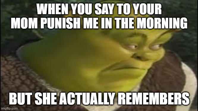 True meme | WHEN YOU SAY TO YOUR MOM PUNISH ME IN THE MORNING; BUT SHE ACTUALLY REMEMBERS | image tagged in shrek,funny memes,true | made w/ Imgflip meme maker