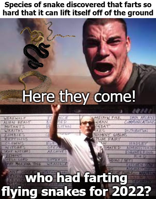  Species of snake discovered that farts so hard that it can lift itself off of the ground; Here they come! who had farting flying snakes for 2022? | image tagged in apocalypse bingo,snek | made w/ Imgflip meme maker