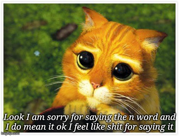 Sorry | Look I am sorry for saying the n word and I do mean it ok I feel like shit for saying it | image tagged in sorry kitty | made w/ Imgflip meme maker